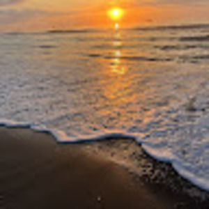 Meet your Posher, Lloyd